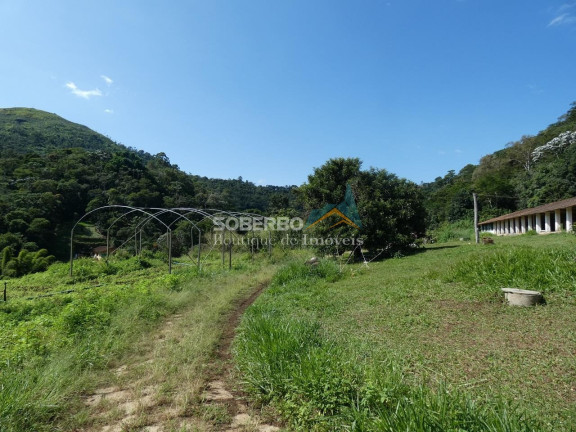 Imagem Imóvel com 3 Quartos para Alugar, 72.000 m² em Granja Mafra - Teresópolis