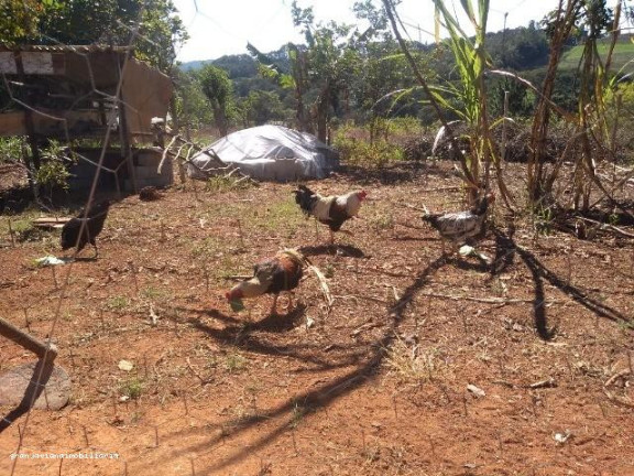 Imagem Chácara à Venda, em Consultar - Ibiúna Imagem Chácara à Venda, em Consultar - Ibiúna
