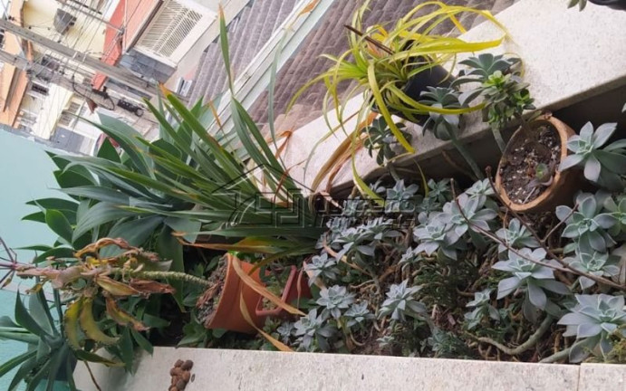 Imagem Casa com 3 Quartos à Venda, 188 m² em Jardim Sul - São José Dos Campos Imagem Casa com 3 Quartos à Venda, 188 m² em Jardim Sul - São José Dos Campos