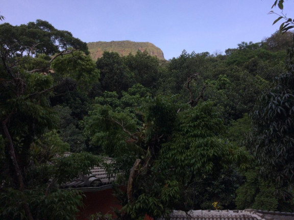 Imagem Casa com 3 Quartos à Venda, 336 m² em São Conrado - Rio De Janeiro