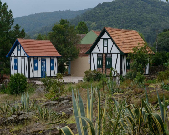 Imagem Imóvel com 1 Quarto à Venda, 9.000 m² em Linha Brasil - Nova Petrópolis