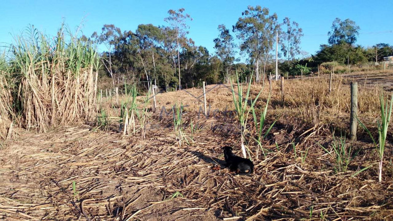 Imagem Fazenda à Venda, 2.500 m² em Vertentes Do Mamonal - Pirassununga Imagem Fazenda à Venda, 2.500 m² em Vertentes Do Mamonal - Pirassununga