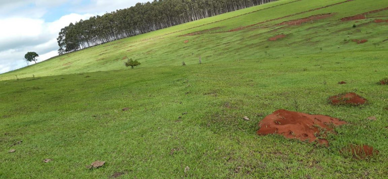 Imagem Chácara à Venda, 13 m² em Rural - Piraju Imagem Chácara à Venda, 13 m² em Rural - Piraju