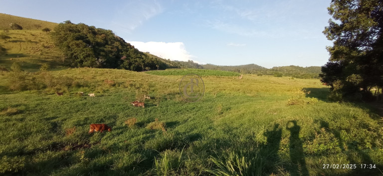 Imagem Fazenda à Venda, 1.010.000 m² em Jardim São Dimas - São José Dos Campos Imagem Fazenda à Venda, 1.010.000 m² em Jardim São Dimas - São José Dos Campos