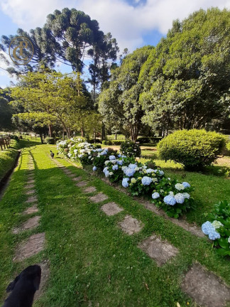 Imagem Chácara com 3 Quartos à Venda, 220 m² em Centro - Sapucaí-mirim Imagem Chácara com 3 Quartos à Venda, 220 m² em Centro - Sapucaí-mirim