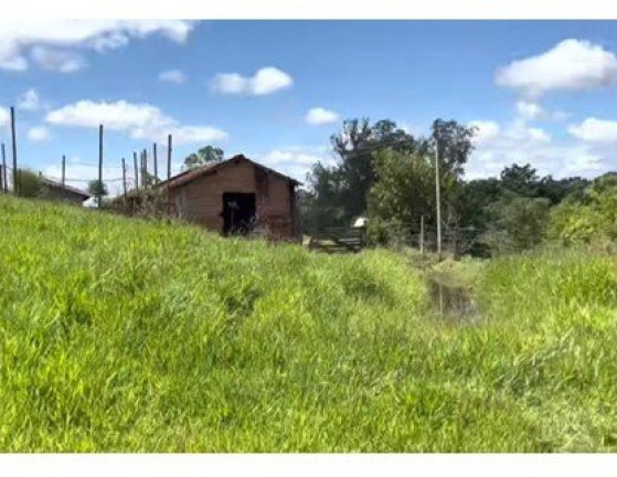 Imagem Imóvel à Venda, 8.000 m² em área Rural De Bauru - Bauru