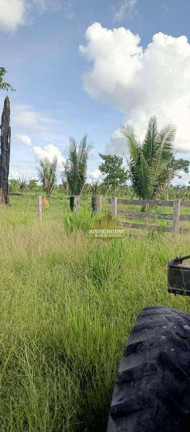 Imagem Fazenda à Venda, 6.872.800 m² em Centro - Colniza Imagem Fazenda à Venda, 6.872.800 m² em Centro - Colniza