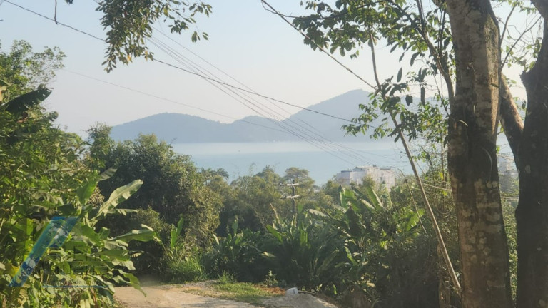 Imagem Terreno à Venda, 1.500 m² em Enseada - Ubatuba Imagem Terreno à Venda, 1.500 m² em Enseada - Ubatuba