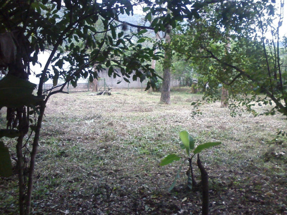Imagem Terreno à Venda, 12.660 m² em Lagoa Da Conceição - Florianópolis Imagem Terreno à Venda, 12.660 m² em Lagoa Da Conceição - Florianópolis