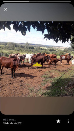 Imagem Chácara à Venda, 4 m² em Rural - Angatuba Imagem Chácara à Venda, 4 m² em Rural - Angatuba