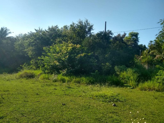 Imagem Imóvel à Venda, 874 m² em Palmeiras - Guaraparia Imagem Imóvel à Venda, 874 m² em Palmeiras - Guaraparia