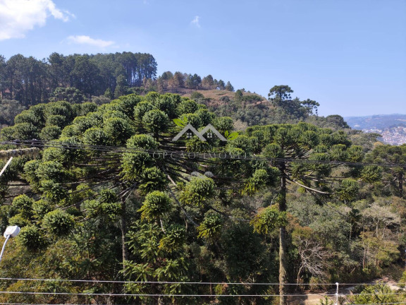 Imagem Casa com 4 Quartos à Venda, 170 m² em Condomínio Colinas Do Sol - Campos Do Jordão Imagem Casa com 4 Quartos à Venda, 170 m² em Condomínio Colinas Do Sol - Campos Do Jordão