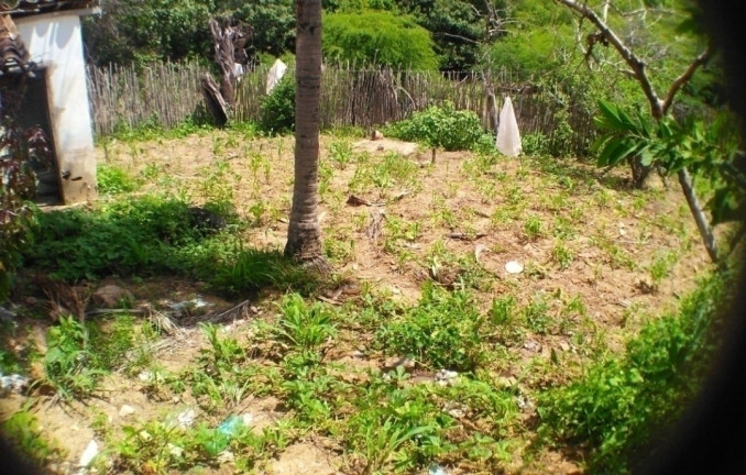 Imagem Terreno à Venda, 84 m² em Carapotos - Caruaru Imagem Terreno à Venda, 84 m² em Carapotos - Caruaru