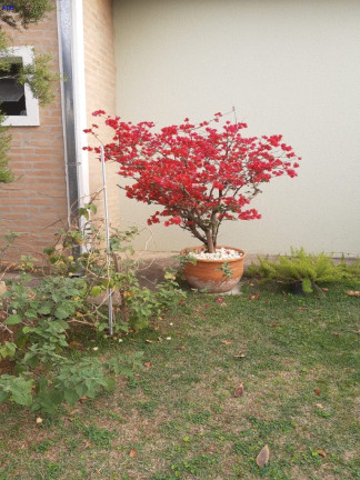 Imagem Casa com 3 Quartos à Venda, 78 m² em Piracangaguá - Taubaté Imagem Casa com 3 Quartos à Venda, 78 m² em Piracangaguá - Taubaté