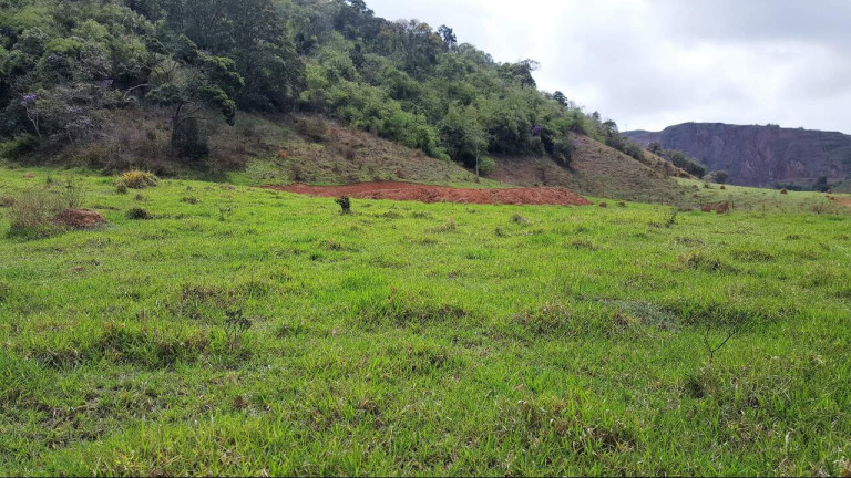 Imagem Imóvel à Venda, 144.000 m² em Grama - Juiz De Fora Imagem Imóvel à Venda, 144.000 m² em Grama - Juiz De Fora