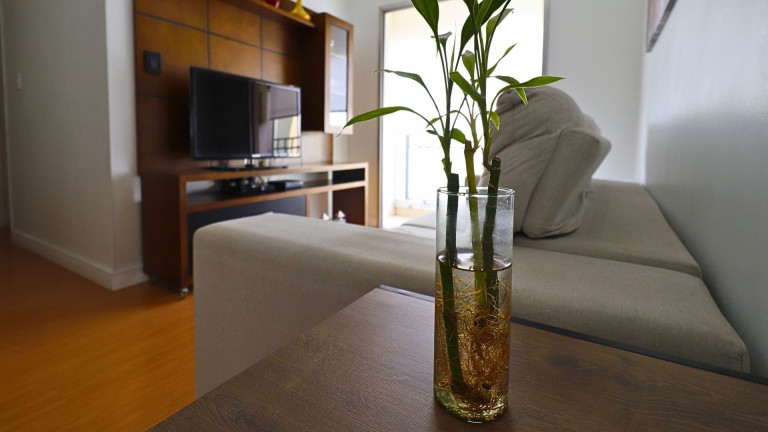 Imagem Apartamento com 2 Quartos à Venda, 56 m² em Vila Guilherme - São Paulo