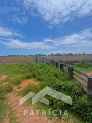 Imagem Imóvel com 2 Quartos à Venda, 140 m² em Zona Rural - Nova Maringá