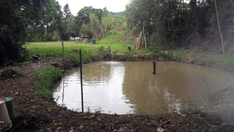 Imagem Imóvel com 3 Quartos à Venda, 140 m² em Laranjeiras De Caldas - Caldas