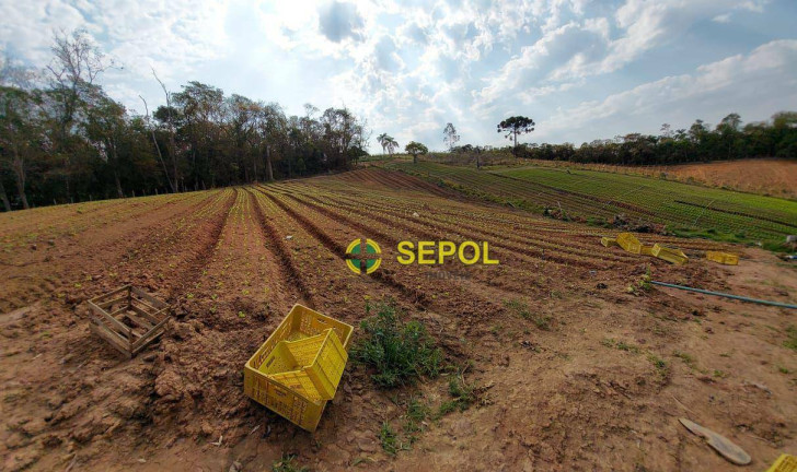 Imagem Terreno à Venda, 19.000 m² em Jardim Do Pinhal - Pinhalzinho Imagem Terreno à Venda, 19.000 m² em Jardim Do Pinhal - Pinhalzinho
