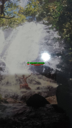 Imagem Fazenda à Venda, 180 m² em Serra Da Bocaina - Areias Imagem Fazenda à Venda, 180 m² em Serra Da Bocaina - Areias
