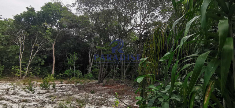 Terreno à Venda, 700 m² em Praia Do Forte - Mata De São João