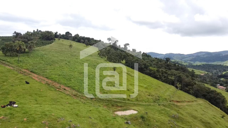 Imagem Imóvel com 4 Quartos à Venda, 120 m² em Santana De Caldas - Caldas
