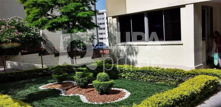Imagem Apartamento com 2 Quartos à Venda, 70 m² em Vila Amélia - São Paulo Imagem Apartamento com 2 Quartos à Venda, 70 m² em Vila Amélia - São Paulo