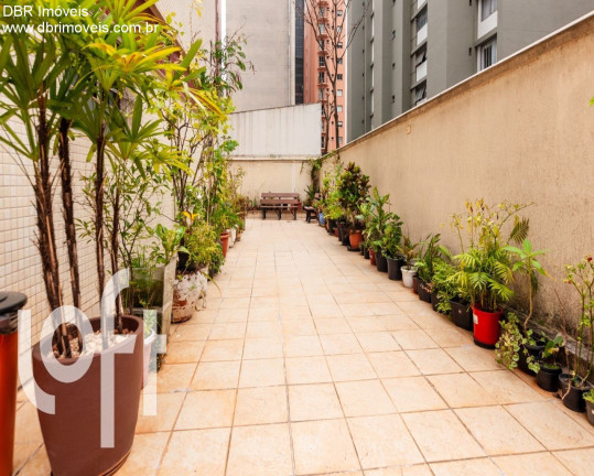 Imagem Apartamento com 4 Quartos à Venda, 286 m² em Bela Vista - São Paulo Imagem Apartamento com 4 Quartos à Venda, 286 m² em Bela Vista - São Paulo