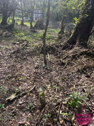 Imagem Terreno à Venda, 600 m² em Ubatumirim - Ubatuba Imagem Terreno à Venda, 600 m² em Ubatumirim - Ubatuba