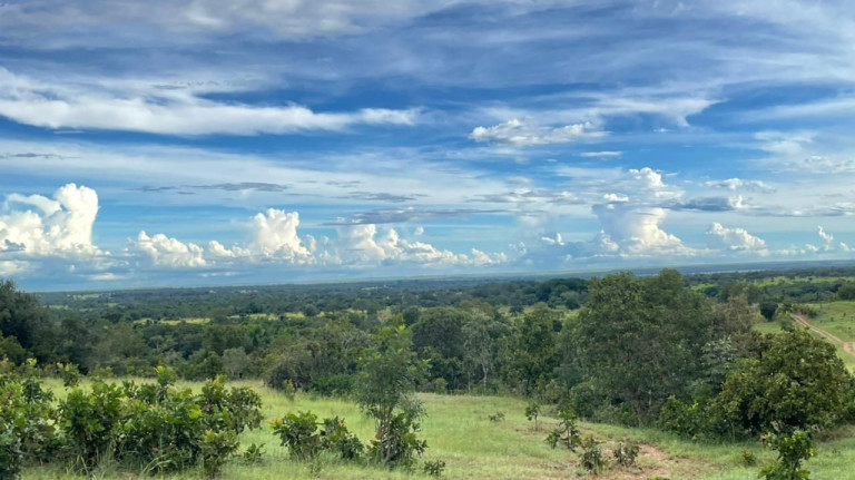 Fazenda à Venda, 500 m² em Zona Rural - Aliança Do Tocantins