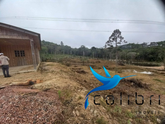 Imagem Chácara com 3 Quartos à Venda, 4.612 m² em Ribeirão Grande - Agudos Do Sul
