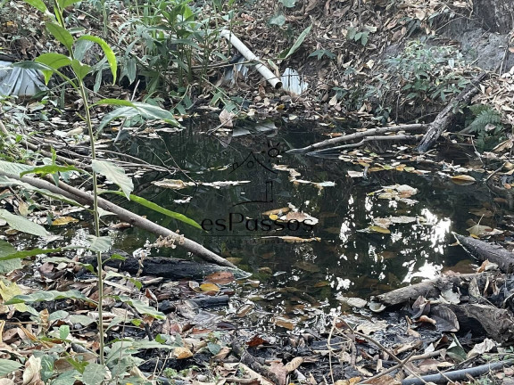 Chácara à Venda, 33.300 m² em Gameleira - Florestal