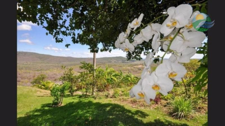 Imagem Casa com 7 Quartos à Venda, 575 m²