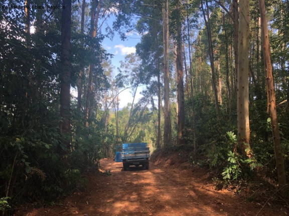 Imagem Terreno à Venda, 3 m² em Linha Olinda - Nova Petrópolis