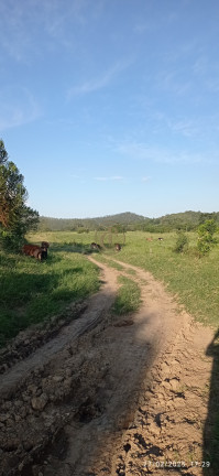 Imagem Fazenda à Venda, 1.010.000 m² em Jardim São Dimas - São José Dos Campos Imagem Fazenda à Venda, 1.010.000 m² em Jardim São Dimas - São José Dos Campos