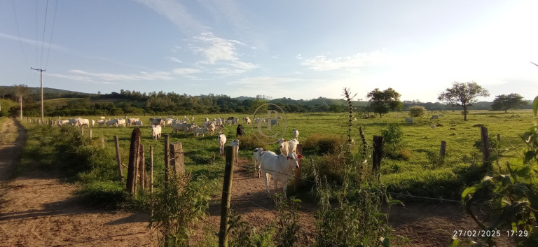 Imagem Fazenda à Venda, 1.010.000 m² em Jardim São Dimas - São José Dos Campos Imagem Fazenda à Venda, 1.010.000 m² em Jardim São Dimas - São José Dos Campos