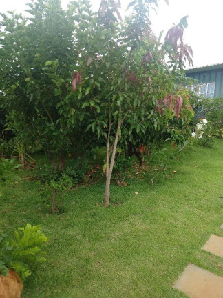 Imagem Chácara com 3 Quartos à Venda, 1.000 m² em Loteamento Chácaras Gargantilhas - Campinas