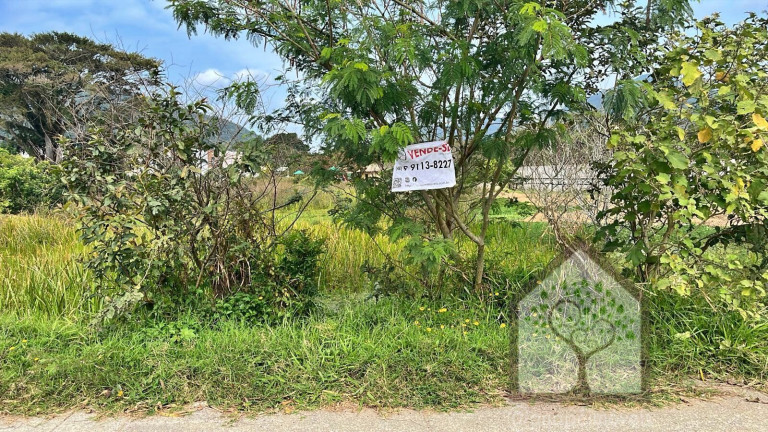 Imagem Terreno à Venda, 2.458 m² em Vargem Grande - Florianópolis