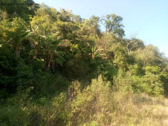 Imagem Terreno à Venda, 7.000 m² em Linha Temerária - Nova Petrópolis