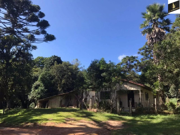 Imagem Imóvel com 3 Quartos à Venda, 30.000 m² em Zona Rural - Tijucas Do Sul