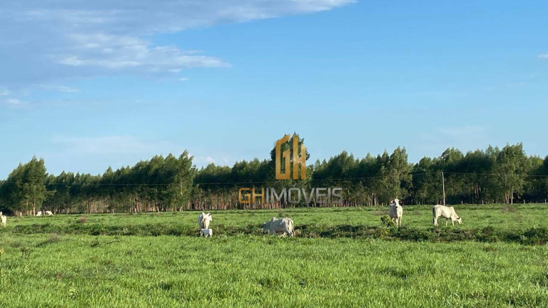 Imagem Fazenda à Venda, 4.017.000 m² em Assentamento - Ribeirão Cascalheira Imagem Fazenda à Venda, 4.017.000 m² em Assentamento - Ribeirão Cascalheira