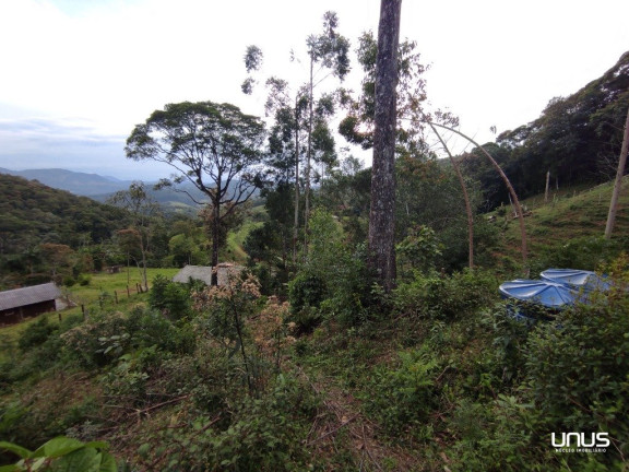 Imagem Fazenda à Venda, 13.000 m² em Pagará - São Pedro De Alcântara Imagem Fazenda à Venda, 13.000 m² em Pagará - São Pedro De Alcântara