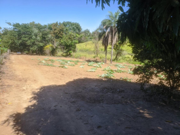 Imagem Chácara com 2 Quartos à Venda, 3.870 m² em área Rural De Lins - Lins Imagem Chácara com 2 Quartos à Venda, 3.870 m² em área Rural De Lins - Lins