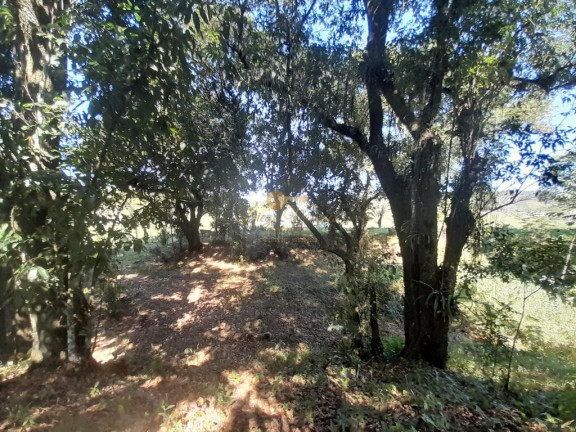 Imagem Terreno à Venda,  em Cotia - Guapimirim
