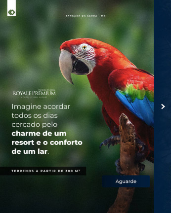 Imagem Terreno à Venda, em Jardim Europa - Tangará Da Serra Imagem Terreno à Venda, em Jardim Europa - Tangará Da Serra