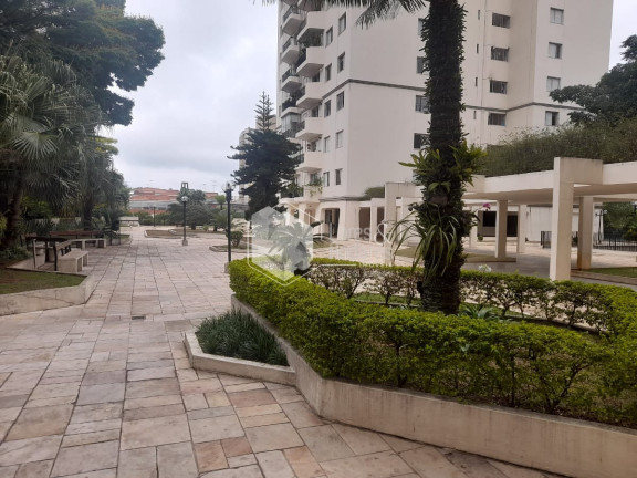 Imagem Apartamento com 3 Quartos à Venda, 115 m² em Jardim Aeroporto - São Paulo Imagem Apartamento com 3 Quartos à Venda, 115 m² em Jardim Aeroporto - São Paulo