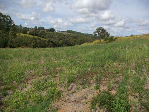 Imagem Imóvel à Venda, 435.600 m² em Zona Rural - Jacui Imagem Imóvel à Venda, 435.600 m² em Zona Rural - Jacui