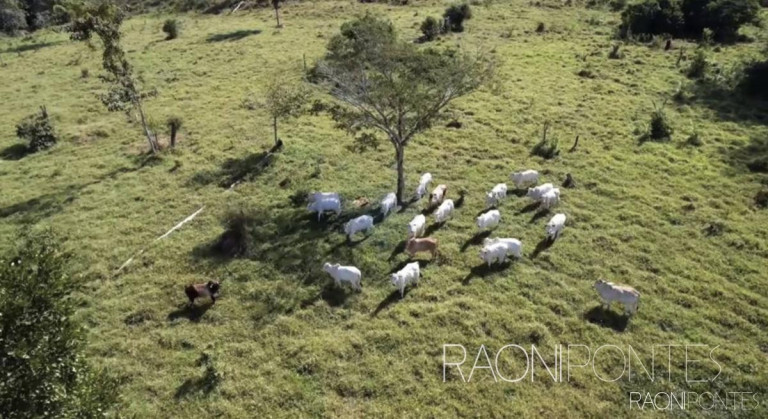 Imagem Fazenda à Venda, 4.300.000 m² em Centro - Pimenta Bueno Imagem Fazenda à Venda, 4.300.000 m² em Centro - Pimenta Bueno