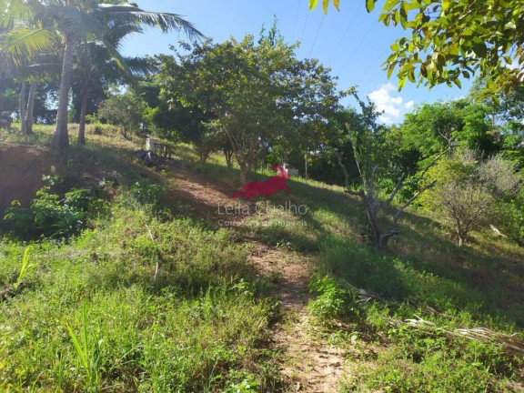 Imagem Chácara com 1 Quarto à Venda, 2.335 m² em São Caetano - Italva