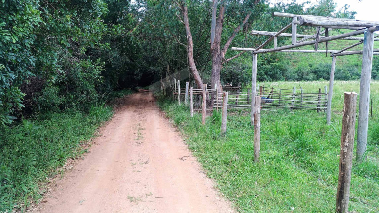 Imagem Imóvel com 1 Quarto à Venda, 20.000 m² em Capituvas (rural) - Bandeira Do Sul